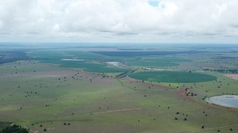 Imagem Fazenda à Venda, 3.000 m² em Zona Rural - Jussara Imagem Fazenda à Venda, 3.000 m² em Zona Rural - Jussara