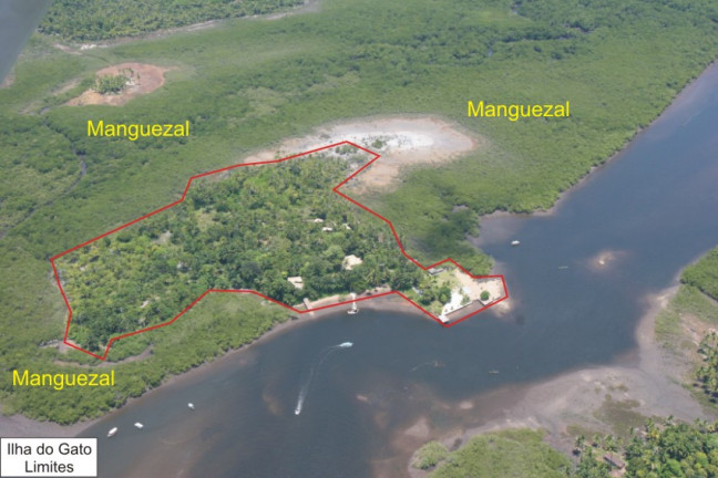 Imagem Casa com 8 Quartos à Venda, 50.000 m² em Tapuia - Camamu