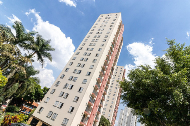 Imagem Apartamento com 2 Quartos à Venda, 53 m² em Vila Amélia - São Paulo Imagem Apartamento com 2 Quartos à Venda, 53 m² em Vila Amélia - São Paulo