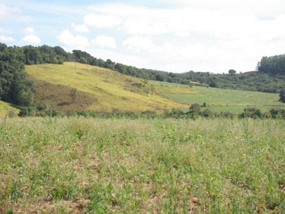 Imagem Imóvel à Venda, 435.600 m² em Zona Rural - Jacui Imagem Imóvel à Venda, 435.600 m² em Zona Rural - Jacui