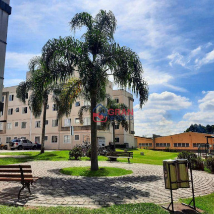Imagem Apartamento com 1 Quarto à Venda, 38 m² em Colônia Rio Grande - São José Dos Pinhais Imagem Apartamento com 1 Quarto à Venda, 38 m² em Colônia Rio Grande - São José Dos Pinhais