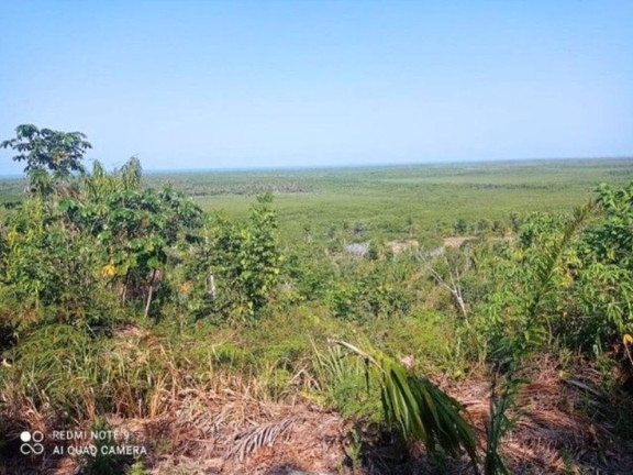 Imagem Fazenda à Venda, 400.000 m² em Ilha De Atalaia - Canavieiras Imagem Fazenda à Venda, 400.000 m² em Ilha De Atalaia - Canavieiras