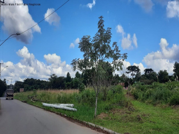 Imagem Terreno à Venda, 12.438 m² em Germânia - Nova Petrópolis Imagem Terreno à Venda, 12.438 m² em Germânia - Nova Petrópolis