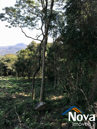 Imagem Imóvel à Venda, 3.502 m² em Linha Gorgen - Morro Reuter Imagem Imóvel à Venda, 3.502 m² em Linha Gorgen - Morro Reuter