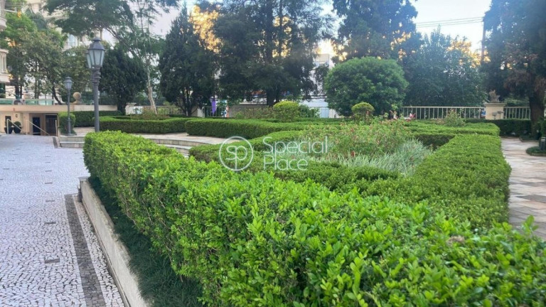 Imagem Apartamento com 3 Quartos à Venda, 250 m² em Moema Pássaros - São Paulo