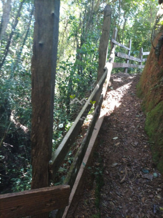 Imagem Terreno à Venda, em Bairro Machadinho - Santo Antônio Do Pinhal Imagem Terreno à Venda, em Bairro Machadinho - Santo Antônio Do Pinhal