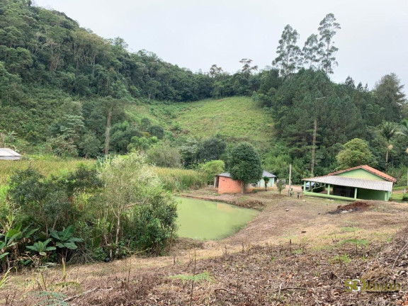 Chácara com 2 Quartos à Venda, 5.000 m² em Capinzal - Guapiara
