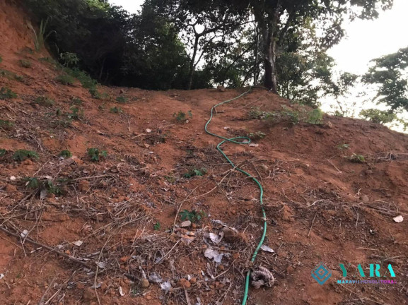 Imagem Terreno à Venda, 4.275 m² em Praia Grande - Ilhabela Imagem Terreno à Venda, 4.275 m² em Praia Grande - Ilhabela