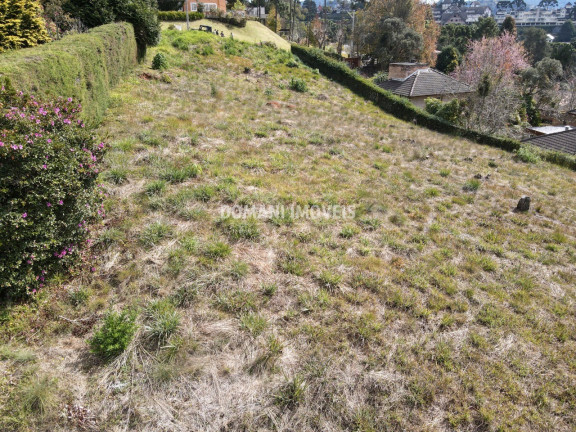 Imagem Terreno à Venda, 2.800 m² em Região De Capivari - Campos Do Jordão Imagem Terreno à Venda, 2.800 m² em Região De Capivari - Campos Do Jordão