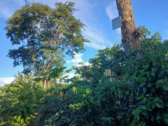 Imagem Chácara à Venda, 35 m² em Arapongas