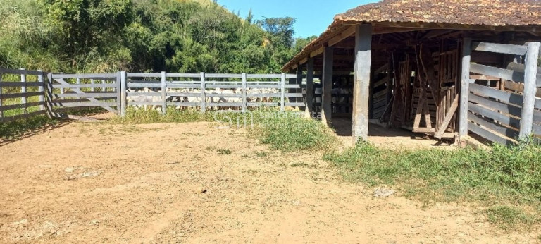 Imagem Imóvel com 4 Quartos à Venda, 431 m² em Morro Frio - Areias Imagem Imóvel com 4 Quartos à Venda, 431 m² em Morro Frio - Areias