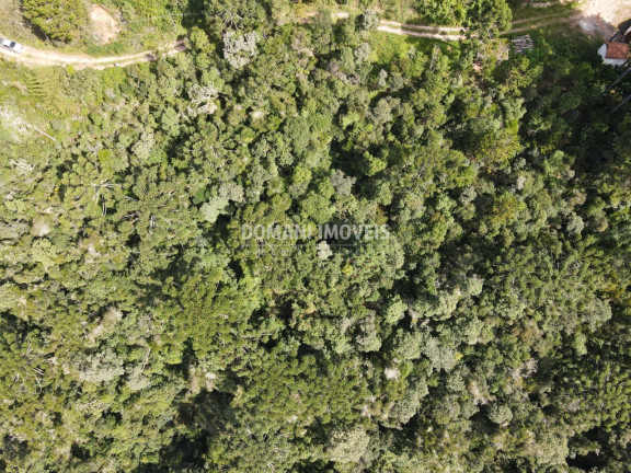 Imagem Terreno à Venda, 5.100 m² em Região Do Atalaia - Campos Do Jordão Imagem Terreno à Venda, 5.100 m² em Região Do Atalaia - Campos Do Jordão