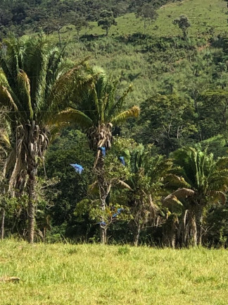 Imagem Fazenda à Venda, 6.050.000 m² em Zona Rural - Cocalzinho De Goiás Imagem Fazenda à Venda, 6.050.000 m² em Zona Rural - Cocalzinho De Goiás
