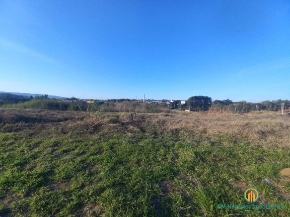 Imagem Terreno à Venda, 56.500 m² em Chácara Remanso (caucaia Do Alto) - Cotia Imagem Terreno à Venda, 56.500 m² em Chácara Remanso (caucaia Do Alto) - Cotia