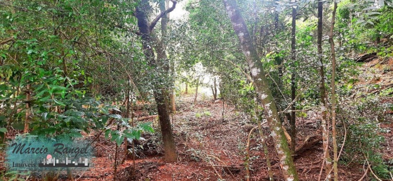 Imagem Imóvel à Venda, 31.000 m² em Caxeta - Campos Dos Goytacazes Imagem Imóvel à Venda, 31.000 m² em Caxeta - Campos Dos Goytacazes