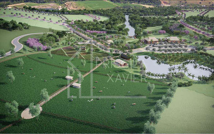 Imagem Terreno à Venda, 1.000 m² em Mangaraí - Santa Leopoldina Imagem Terreno à Venda, 1.000 m² em Mangaraí - Santa Leopoldina