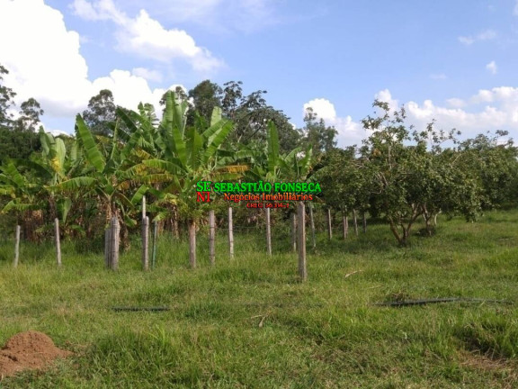 Imagem Chácara com 1 Quarto à Venda, 42.000 m² em Centro - Caçapava