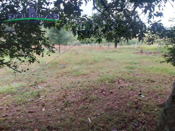 Imagem Chácara à Venda, 20.000 m² em Viamão Imagem Chácara à Venda, 20.000 m² em Viamão