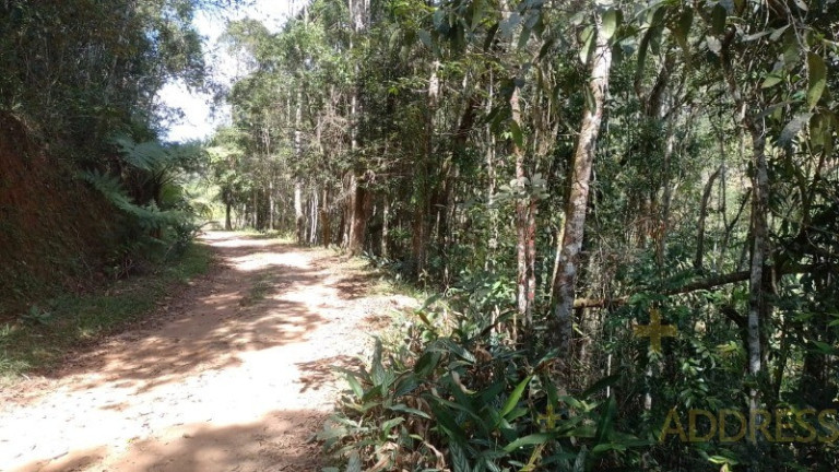 Imagem Imóvel com 1 Quarto à Venda, 20.000 m² em Marechal Floriano - Marechal Floriano