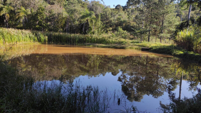 Imagem Chácara com 10 Quartos à Venda, 250 m² em Parque Fernão Dias - Atibaia