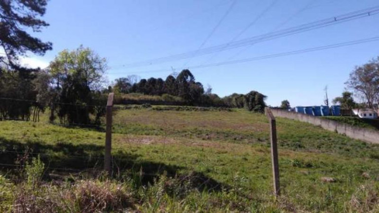 Imagem Terreno à Venda, 24.337 m² em Thomaz Coelho - Araucária Imagem Terreno à Venda, 24.337 m² em Thomaz Coelho - Araucária
