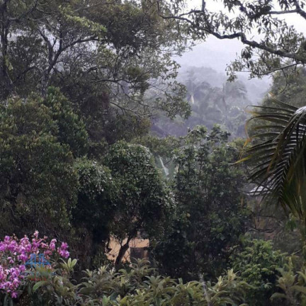 Imagem Casa com 4 Quartos à Venda, 430 m² em Lagoa Da Conceição - Florianópolis