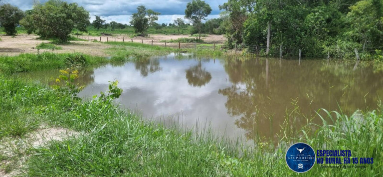 Fazenda à Venda, 30 m² em Setor Central - Crixás