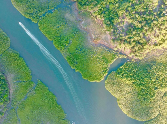 Chácara à Venda,  em Porto De Jobel - Marau
