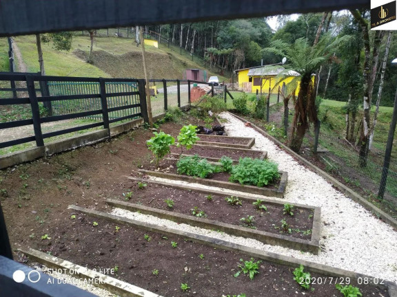 Imagem Imóvel com 3 Quartos à Venda, 16.200 m² em Zona Rural - Quatro Barras