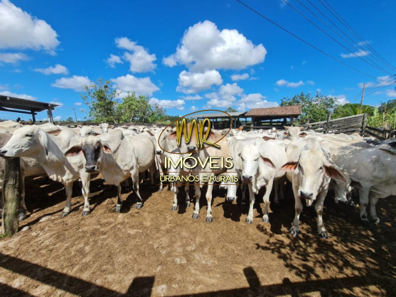 Imagem Imóvel à Venda, 52 m² em Rural - Araruama Imagem Imóvel à Venda, 52 m² em Rural - Araruama
