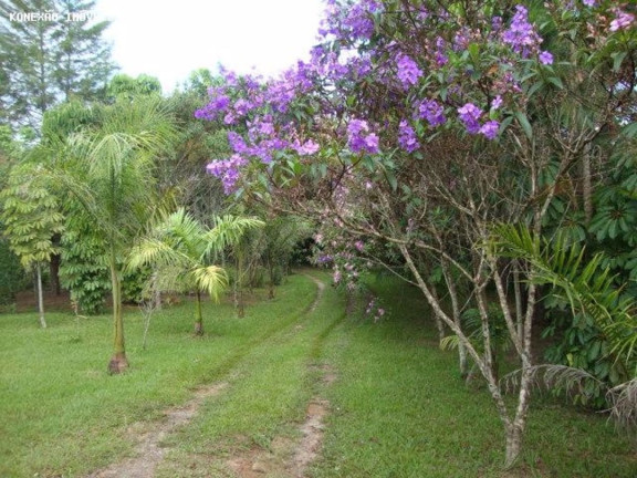 Imagem Chácara com 3 Quartos à Venda, 33.000 m² em Centro - Paraibuna Imagem Chácara com 3 Quartos à Venda, 33.000 m² em Centro - Paraibuna