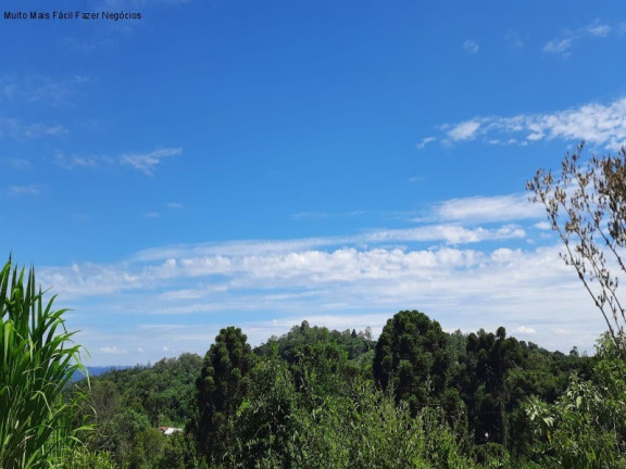 Imagem Terreno à Venda, 13 m² em Linha Olinda - Nova Petrópolis Imagem Terreno à Venda, 13 m² em Linha Olinda - Nova Petrópolis