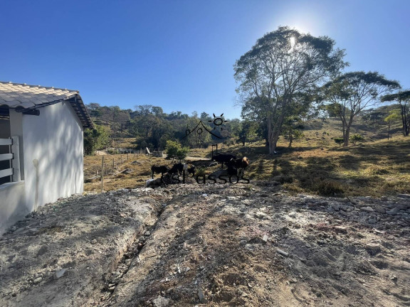 Imagem Fazenda à Venda, 110.000 m² em Pernambuco - Florestal