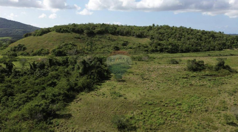 Imagem Fazenda à Venda, 1.449.875 m² em Zona Rural - Anchieta Imagem Fazenda à Venda, 1.449.875 m² em Zona Rural - Anchieta