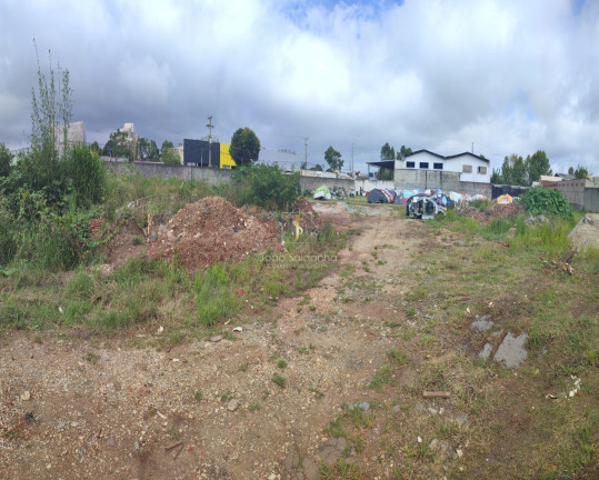 Imagem Terreno à Venda, 5.000 m² em Centro - Pinhais