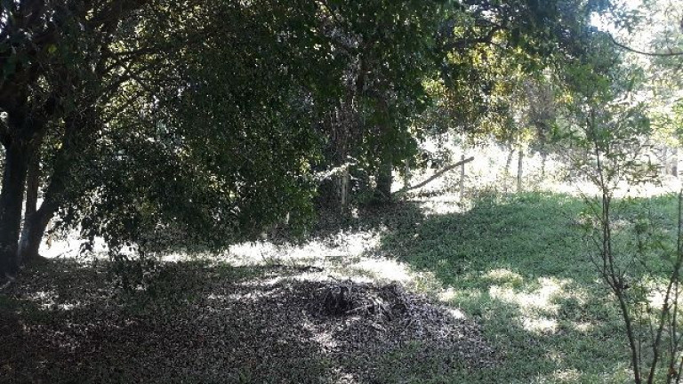 Imagem Imóvel à Venda,  em Chácara Recreio Floresta - Jaguariúna