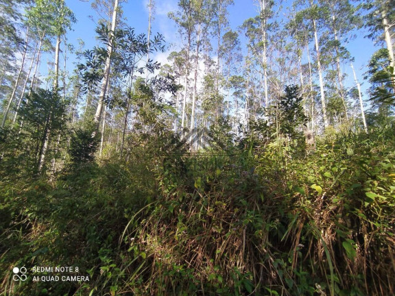 Imagem Chácara à Venda, 11 m² em Centro - Miracatu Imagem Chácara à Venda, 11 m² em Centro - Miracatu