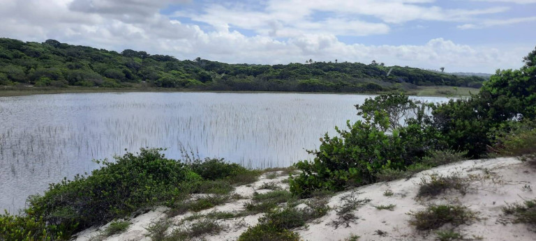 Imagem Terreno à Venda, 600 m² em Praia Do Forte - Mata De São João Imagem Terreno à Venda, 600 m² em Praia Do Forte - Mata De São João