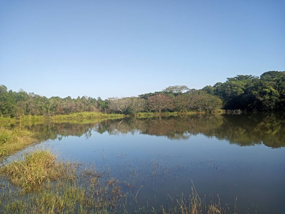 Imagem Chácara à Venda, 29.000 m² em Pimenta - Viamão Imagem Chácara à Venda, 29.000 m² em Pimenta - Viamão