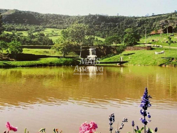Imagem Terreno à Venda, 2 m² em Lomba Grande - Novo Hamburgo