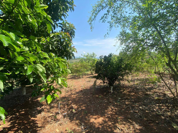 Imagem Fazenda à Venda, 18.000 m² em Limeira - Rio Manso Imagem Fazenda à Venda, 18.000 m² em Limeira - Rio Manso