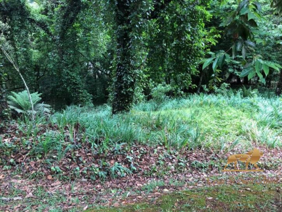 Imagem Terreno à Venda, 2.450 m² em Capivari - Campos Do Jordão Imagem Terreno à Venda, 2.450 m² em Capivari - Campos Do Jordão