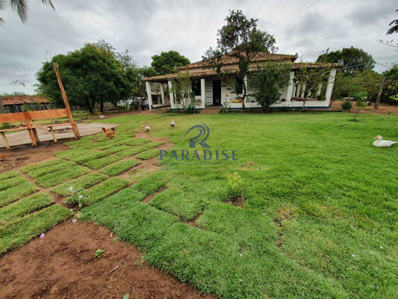 Imagem Fazenda à Venda, 2.551.000 m² em Centro - Santa Terezinha Imagem Fazenda à Venda, 2.551.000 m² em Centro - Santa Terezinha