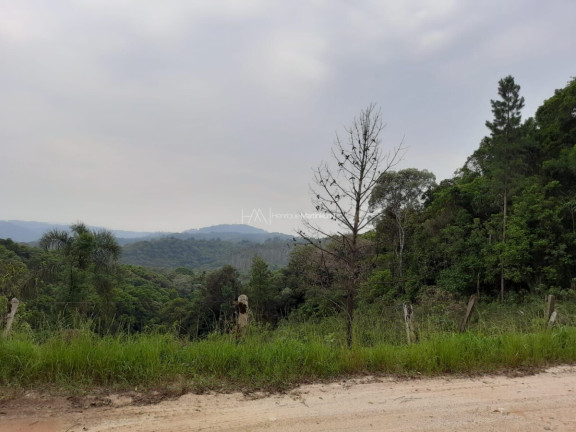 Imagem Fazenda à Venda, 127.997 m² em Pacotuba - Almirante Tamandaré Imagem Fazenda à Venda, 127.997 m² em Pacotuba - Almirante Tamandaré