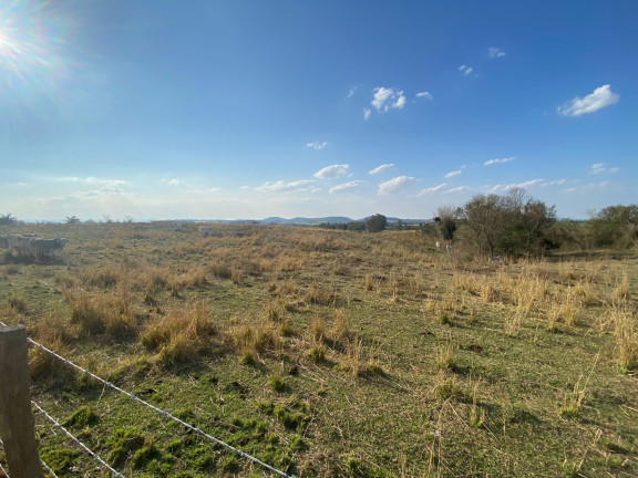 Imagem Terreno à Venda, 90.857 m² em Bairro Dos Ferreiras - Porangaba Imagem Terreno à Venda, 90.857 m² em Bairro Dos Ferreiras - Porangaba