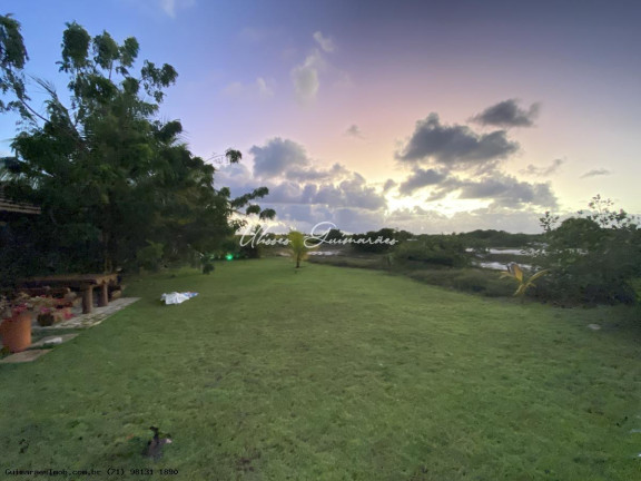 Imagem Casa com 5 Quartos à Venda, 427 m² em Praia Do Forte - Mata De São João Imagem Casa com 5 Quartos à Venda, 427 m² em Praia Do Forte - Mata De São João