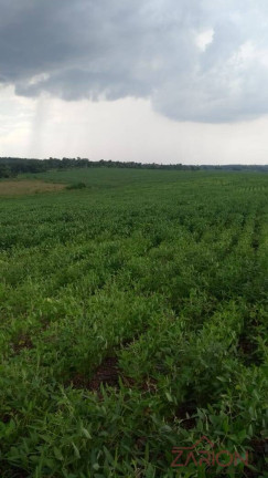 Imagem Fazenda à Venda, 13.000 m² em Jardim Paraíso - Naviraí