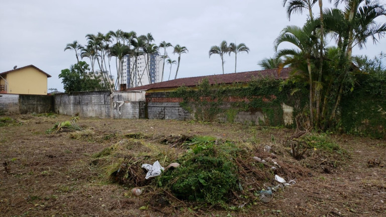 Terreno à Venda, 900 m² em Vera Cruz - Mongaguá