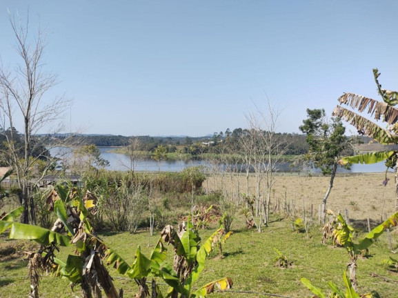 Imagem Chácara com 3 Quartos à Venda, 5.800 m² em Taiacupeba - Mogi Das Cruzes Imagem Chácara com 3 Quartos à Venda, 5.800 m² em Taiacupeba - Mogi Das Cruzes