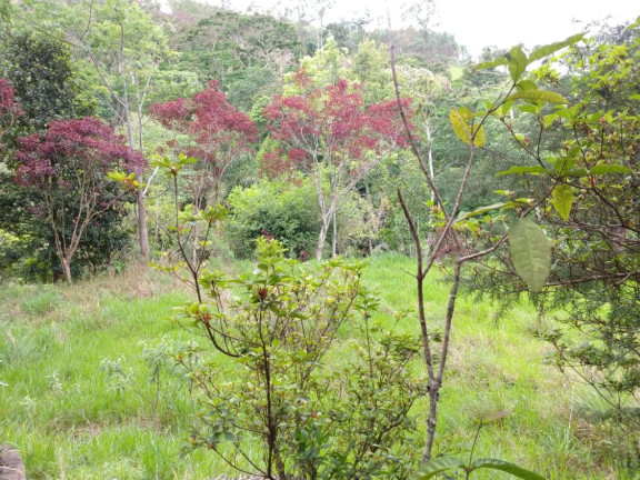 Imagem Fazenda à Venda, 30.000 m² em Centro - Joanópolis Imagem Fazenda à Venda, 30.000 m² em Centro - Joanópolis